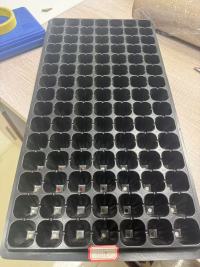 527PS Die vielseitige Anwendung von PS-Folie in Lebensmittel-Blisterverpackungen und Setzlingsschalen