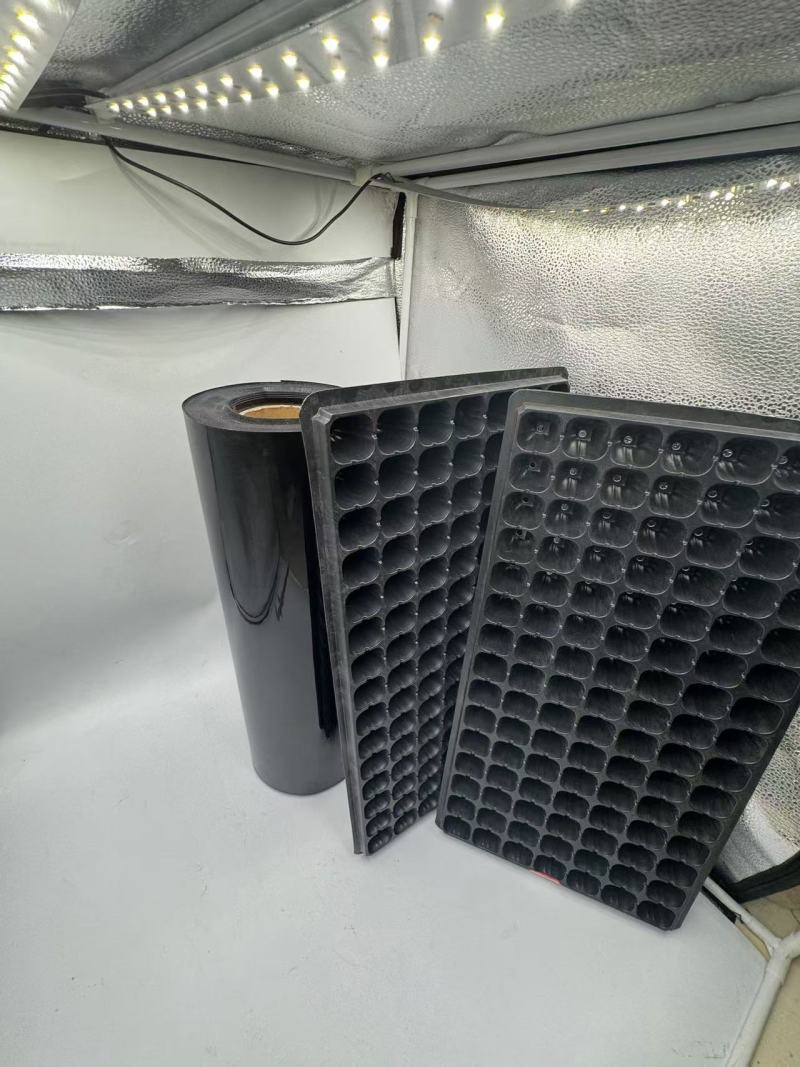 527PS Die vielseitige Anwendung von PS-Folie in Lebensmittel-Blisterverpackungen und Setzlingsschalen