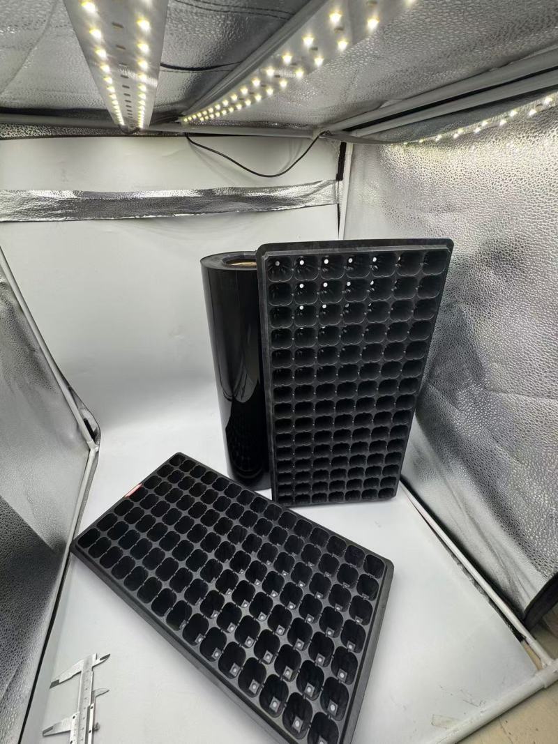 527PS Die vielseitige Anwendung von PS-Folie in Lebensmittel-Blisterverpackungen und Setzlingsschalen