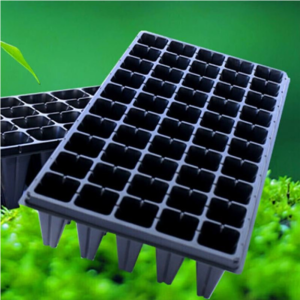 527PS L'application polyvalente du film PS dans les emballages alimentaires sous blister et les barquettes de semis