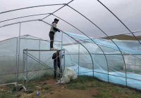 Zaščitne folije LDPE /HDPE713 za zasaditev hiš in blaga, zaščito pokrovov pohištva