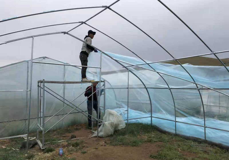 Zaščitne folije LDPE /HDPE713 za zasaditev hiš in blaga, zaščito pokrovov pohištva