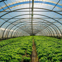 Zaščitne folije LDPE /HDPE713 za zasaditev hiš in blaga, zaščito pokrovov pohištva