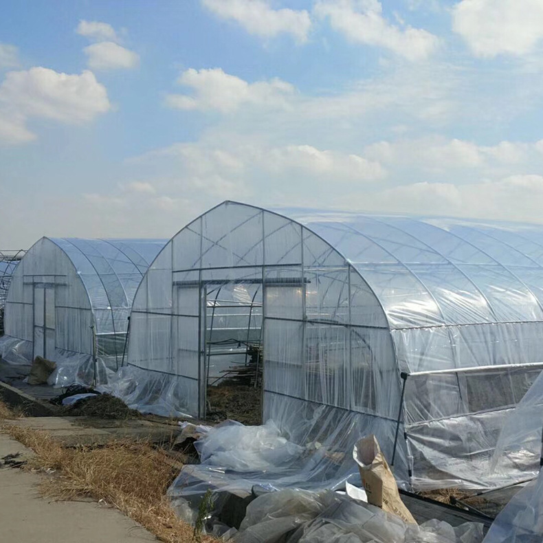 LDPE film for planting house