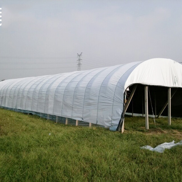 LDPE film for planting house