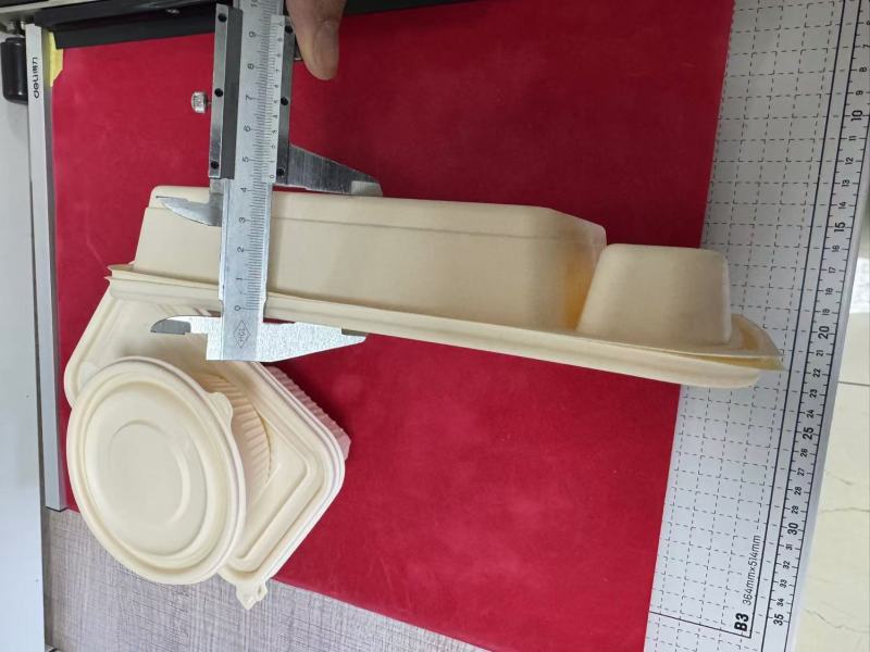Esplorazione delle applicazioni innovative del film PLA nel confezionamento blister alimentare