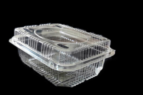 Khay nhựa PET đựng trái cây rau củ tươi đóng gói