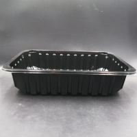Food Grade Disposable PP/PET Plastic Package Tray
