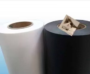 Exploring the Versatile Properties of PP Films in Thermoformed Food Packaging