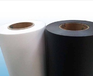 Exploring the Versatile Properties of PP Films in Thermoformed Food Packaging