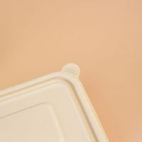 PLA biorazgradljive posode iz koruznega škroba: revolucionarna embalaža za hrano