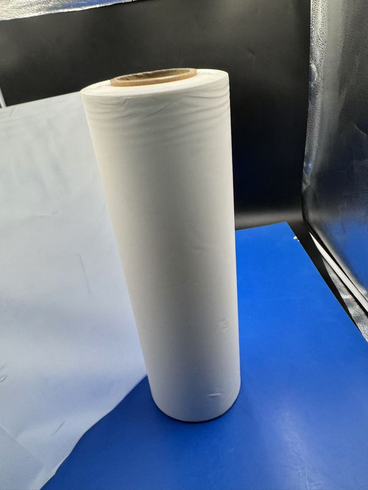 PLA Biodegradable Film