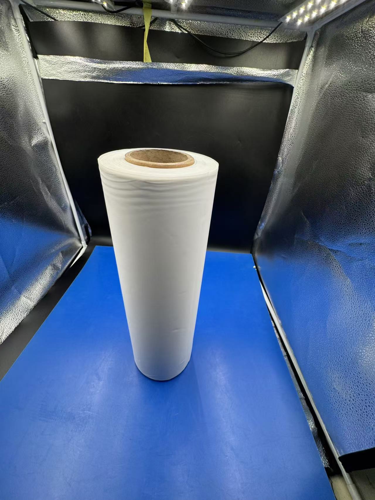 PLA Biodegradable Film