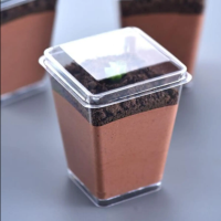 PET plastični pladenj za sladoled/puding/torto