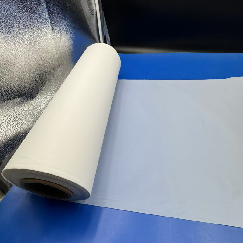 Biologisch abbaubare PLA-Folie: Revolutionäre Versiegelung und Konservierung von Lebensmitteln