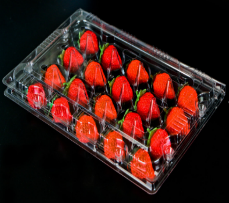 Transparent Disposable PET Fruit Box