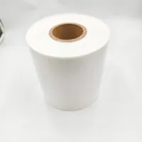 Kerajang PVC Berkilat Putih/Lembaran PVC untuk Mencetak
