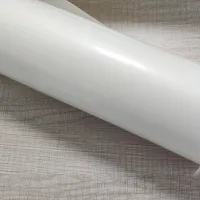 Biologisch afbreekbare witte doorschijnende PLA blisterverpakking