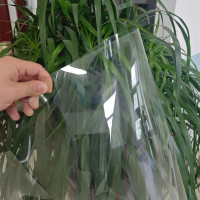 Tấm PET dùng cho hộp gấp