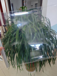 Film laminé PET/PA/PE