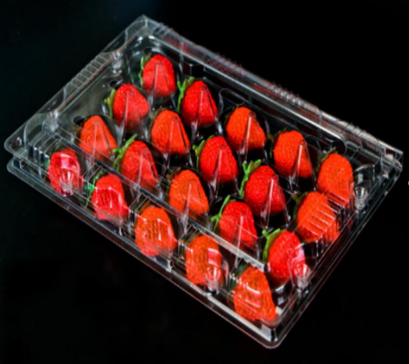 Plateau d'emballage de fruits en PET de qualité alimentaire, haute transparence