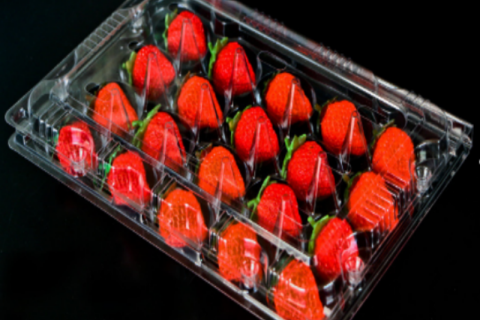 Plateau d'emballage de fruits en PET de qualité alimentaire, haute transparence