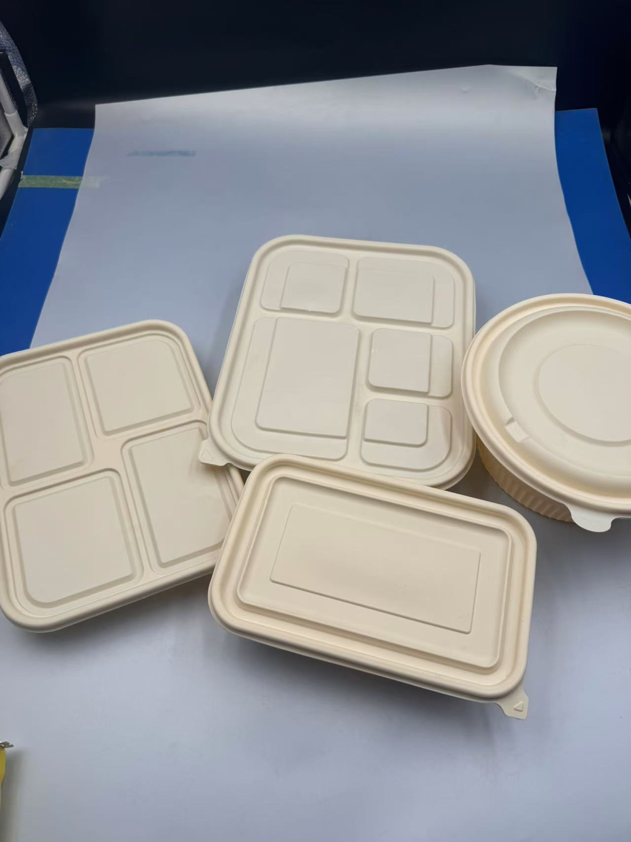 Food service degradebale food packing