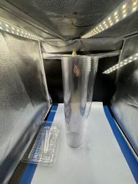 Afsløring af klarheden: Ultra-transparent PET-film i bordserviceblisteremballage