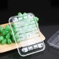 Sandwicher Grøntsager Frugt Brød PET Food Box/Bakke
