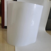 Compostable environmentally friendly PLA blister white sheet
