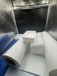 Caractéristiques et applications du film PS blanc dans les emballages thermoformés pour aliments et la vaisselle jetable