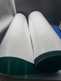 The Characteristics and Applications of Two-Color PP Film in Disposable Cutlery Blister Packaging and Food Packaging