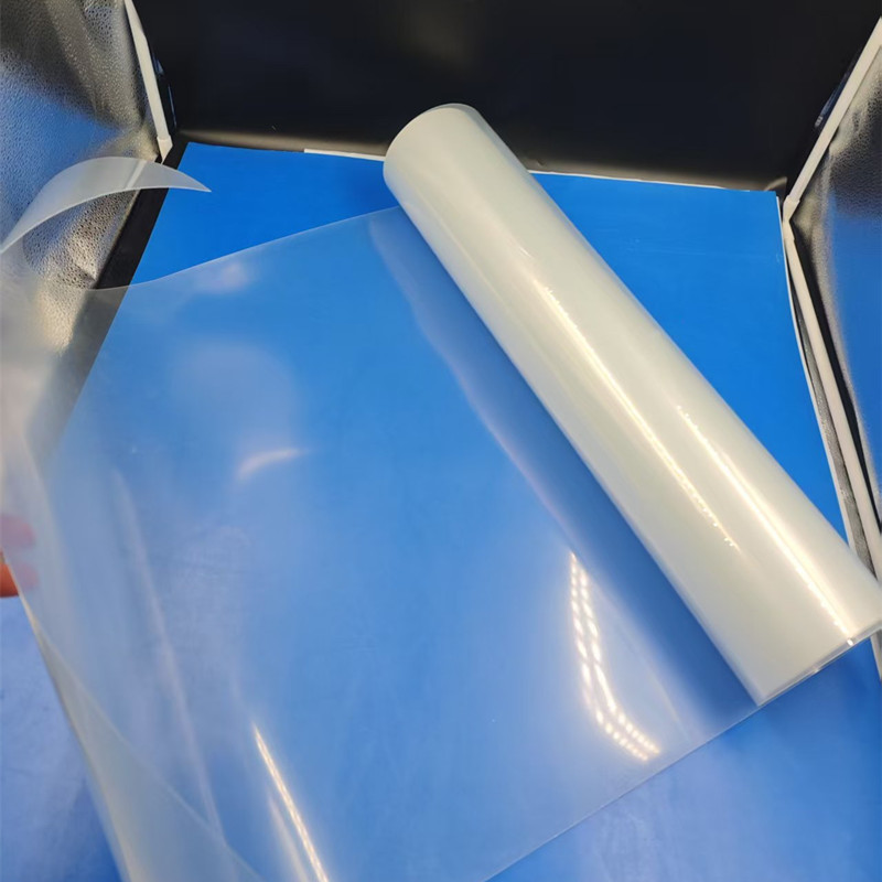 PP Roll for Food Blister Packaging Trays