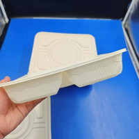 Ekologiczny lunchbox PLA