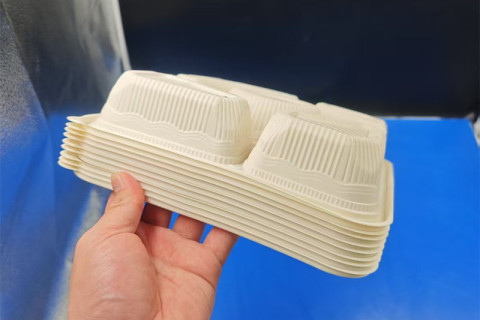 Škatla za kosilo PLA (Polylactic Acid).