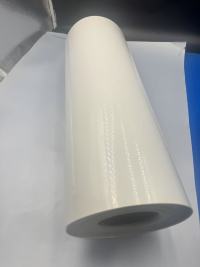 Película PS Branca: Uma Campeã Versátil em Soluções de Embalagem Modernas