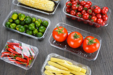 Scatole di imballaggio monouso in PET Vassoio per alimenti in PET