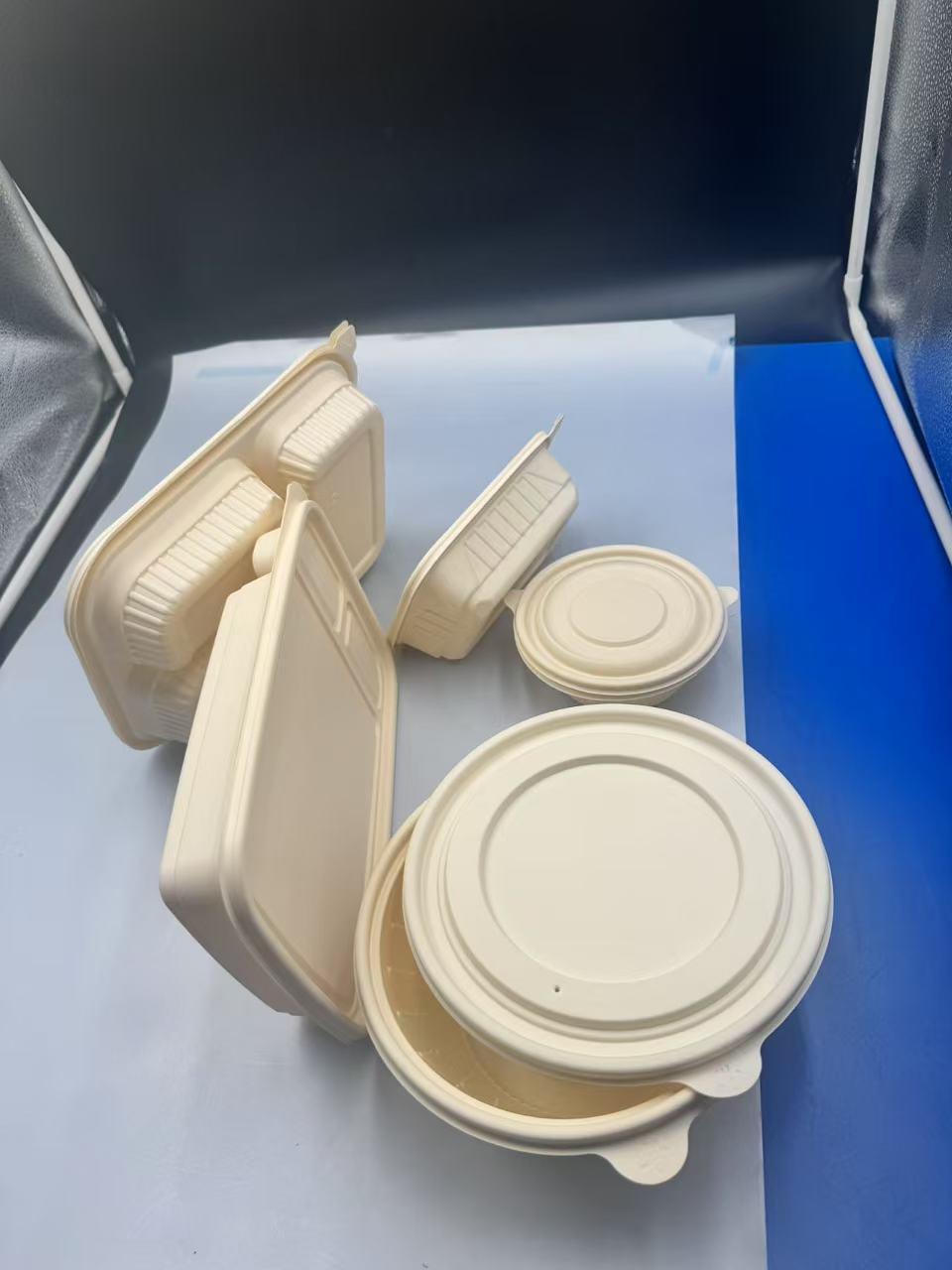 biodegradable tableware