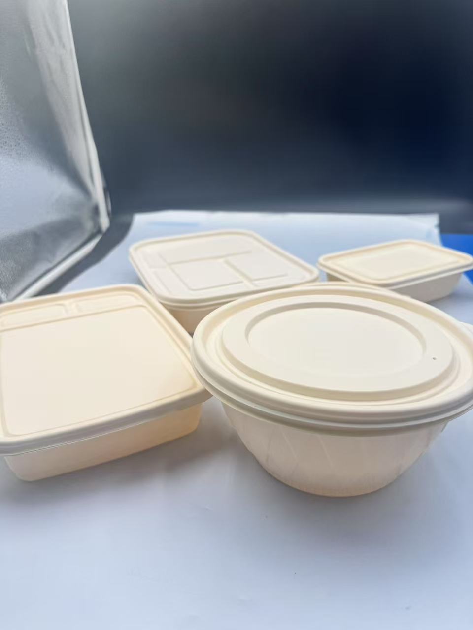 biodegradable tableware