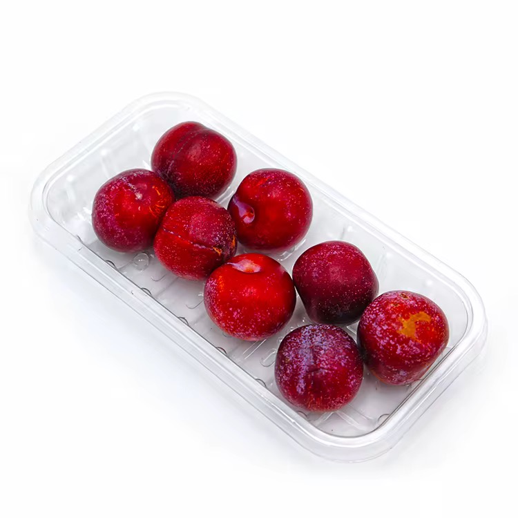 PET blister film antistatic packaging