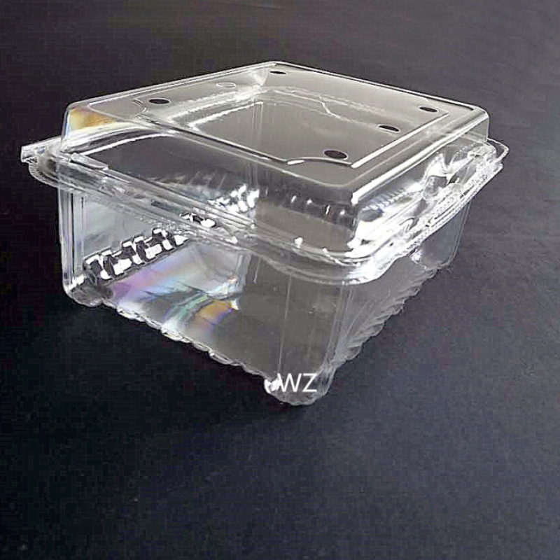 PET Food Tray for Vegetables