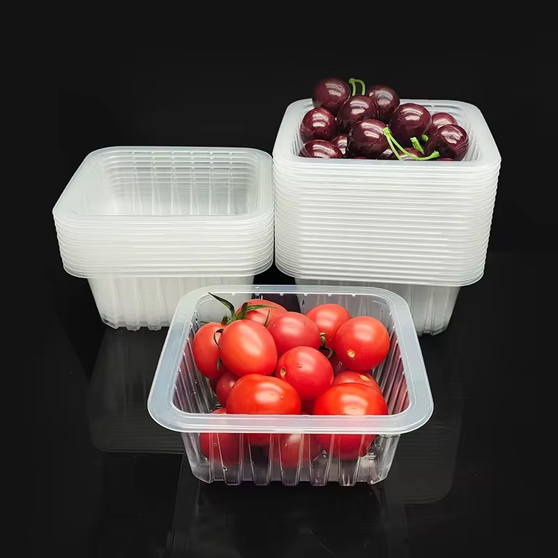 Las propiedades versátiles de la película PP transparente en soluciones de embalaje modernas