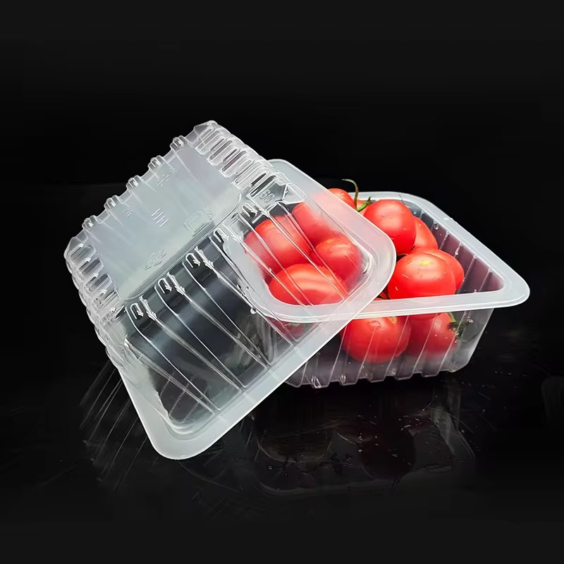 Las propiedades versátiles de la película PP transparente en soluciones de embalaje modernas