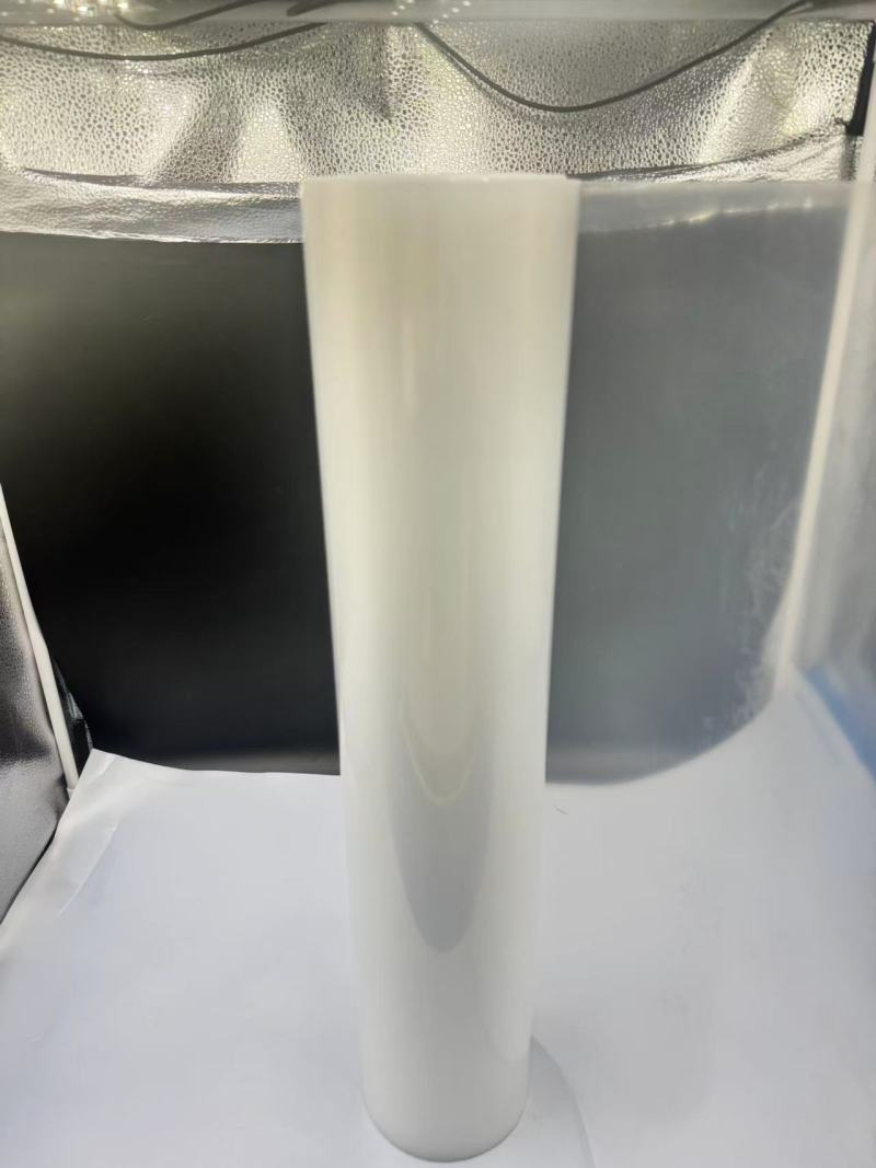 Las propiedades versátiles de la película PP transparente en soluciones de embalaje modernas