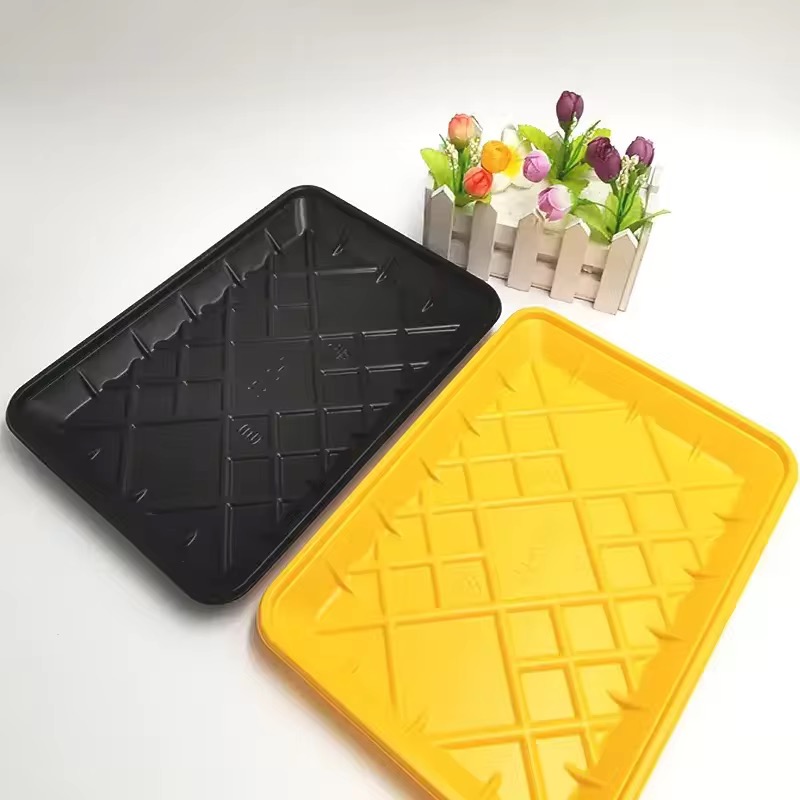 PET blister tray