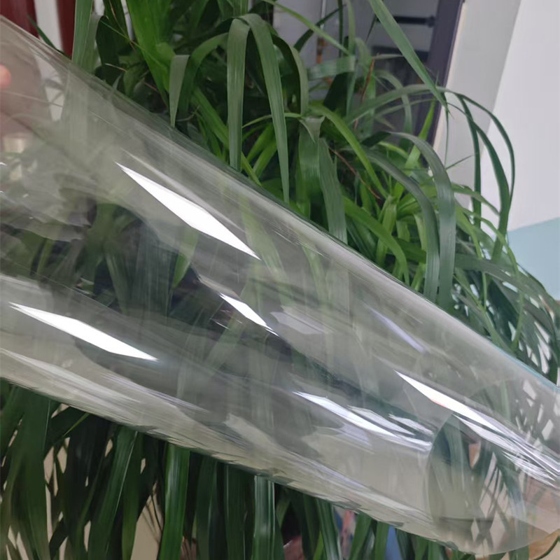 Lámina de PET transparente para envases de mariscos