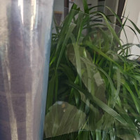 Feuille BOPS pour emballage thermoformé