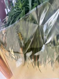 Eigenschaften und Anwendungen von transparenter gelber BOPET-Folie in Lebensmittel-, Getränke-, Elektronik- und Hardwareverpackungen