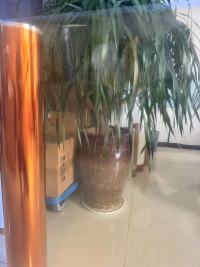 Eigenschaften und Anwendungen von transparenter gelber BOPET-Folie in Lebensmittel-, Getränke-, Elektronik- und Hardwareverpackungen