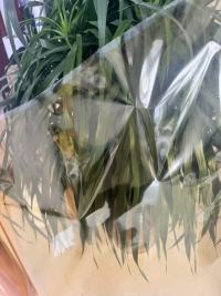 Eigenschaften und Anwendungen von transparenter gelber BOPET-Folie in Lebensmittel-, Getränke-, Elektronik- und Hardwareverpackungen